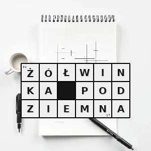 Hasło krzyżówkowe myobatrachus gouldii gatunek płaza bezogonowego z rodziny żółwinkowatych jedyny przedstawiciel rodzaju myobatrachus - żółwinka podziemna – rozwiązanie, synonimy, podpowiedzi i definicje krzyżówkowe